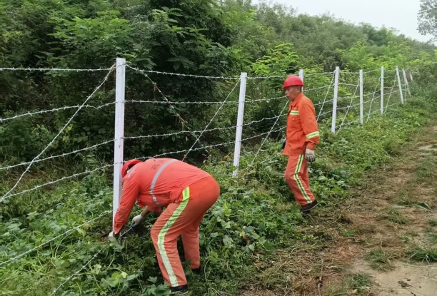 微信图片_20250928142951_121_149