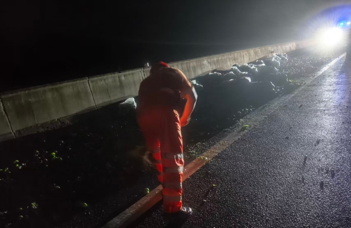 张家口分中心涞水北养护队：中秋小长假深夜应急清障，守护道路平安畅通