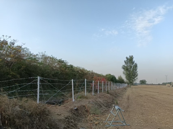 微信图片_20251021175720_226_45