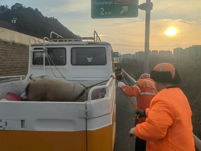 092aeb7a7976da40f667c42341bcae8b