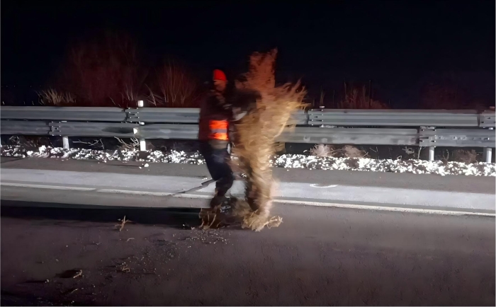 张家口分中心阳原养护队：快速处置路面隐患 全力保障夜间通行安全1