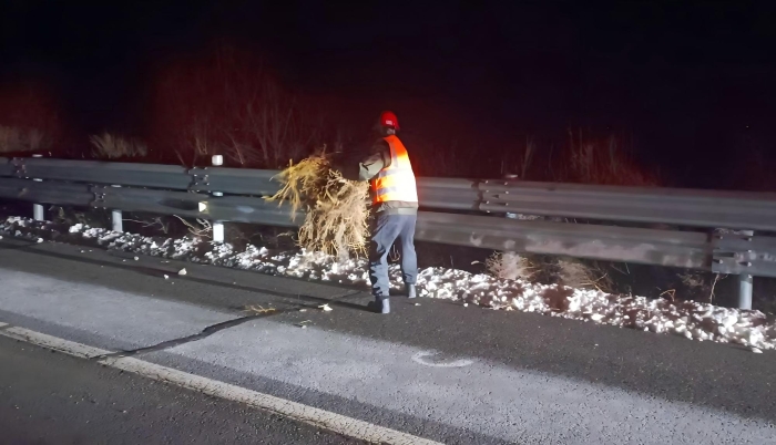 张家口分中心阳原养护队：快速处置路面隐患 全力保障夜间通行安全