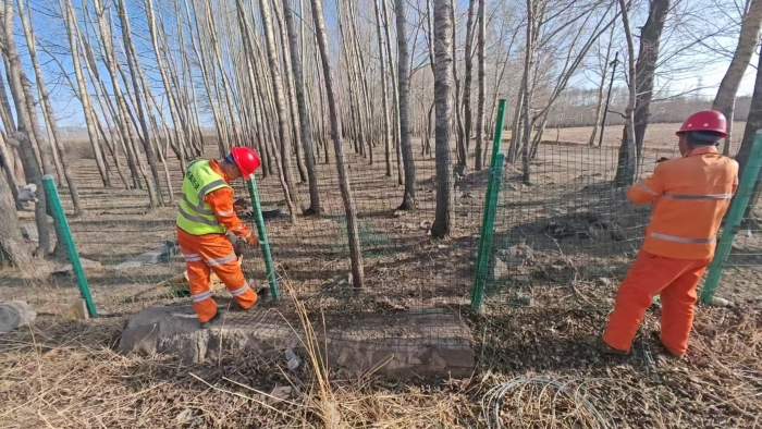 养护分公司张家口分中心沽源养护队维修加固隔离栅刺丝 筑牢安全防护“第一道防线”