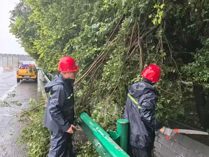 微信图片_20260712114936_317_2751