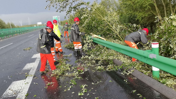 养护分公司张家口分中心沽源养护队应急处置道路树木倒伏，守护通行平安