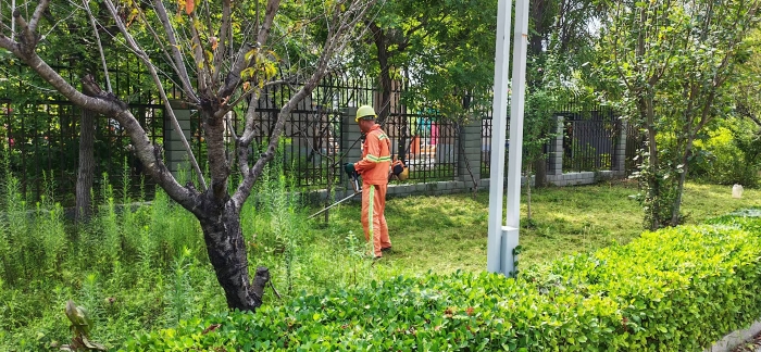 精细整治焕新貌 整洁站区优环境——养护分公司张家口分中心涞水西养护队开展站区环境专项整治行动