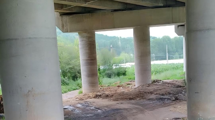 清理桥下堆积杂物 筑牢道路安全屏障——养护分公司张家口分中心张家口养护队及时消除桥梁安全隐患1